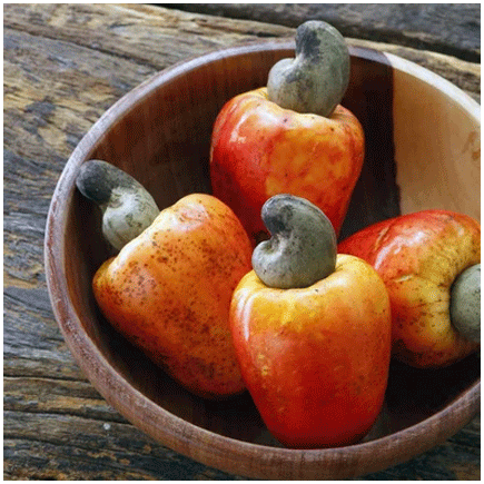 Caju Natural flavour